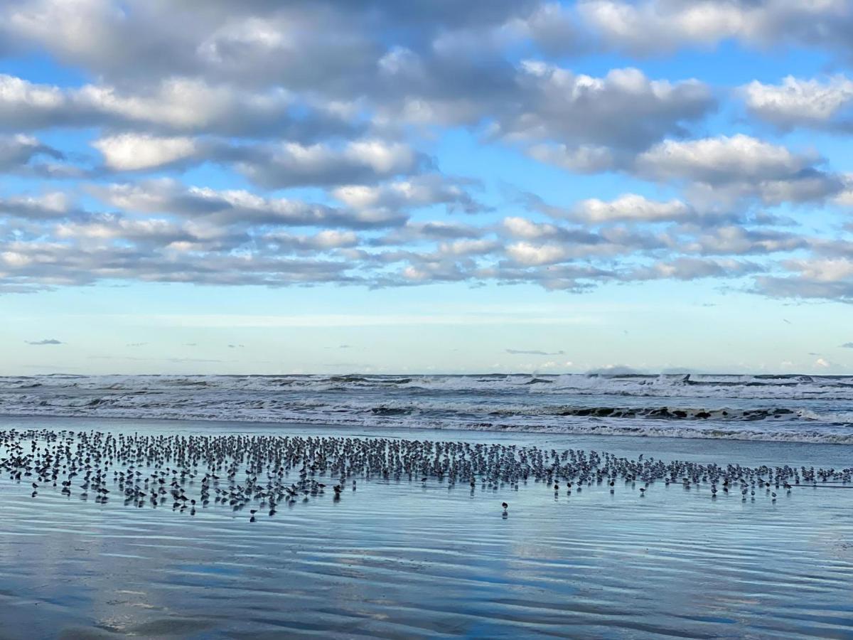 Tidal House #4 - *